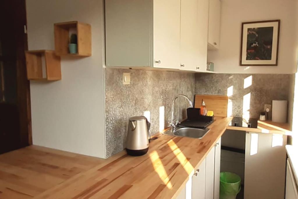 Lemuria Apartament Szkolna Centrum Legnica Buitenkant foto