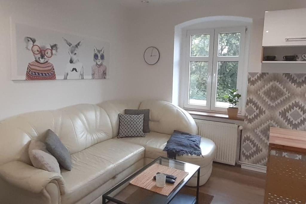 Lemuria Apartament Szkolna Centrum Legnica Buitenkant foto