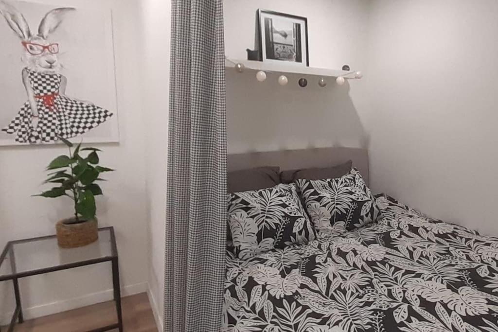 Lemuria Apartament Szkolna Centrum Legnica Buitenkant foto