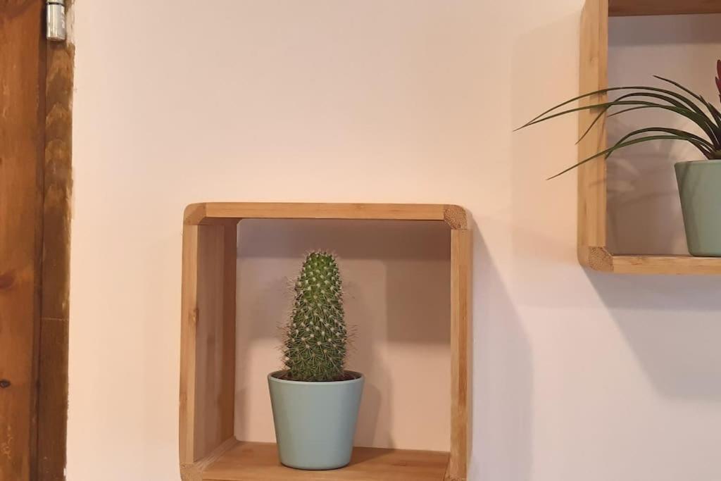 Lemuria Apartament Szkolna Centrum Legnica Buitenkant foto